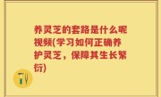 养灵芝的套路是什么呢视频(学习如何正确养护灵芝，保障其生长繁衍)