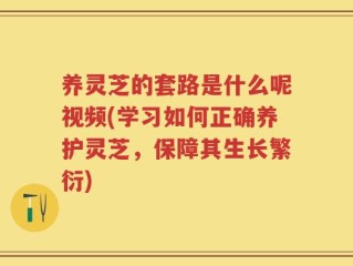 养灵芝的套路是什么呢视频(学习如何正确养护灵芝，保障其生长繁衍)