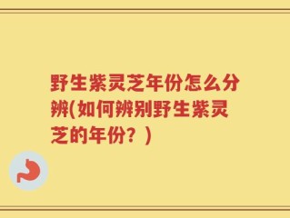 野生紫灵芝年份怎么分辨(如何辨别野生紫灵芝的年份？)