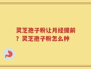 灵芝孢子粉让月经提前？灵芝孢子粉怎么种