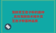 发酵灵芝孢子粉的菌种_高效发酵技术提升灵芝孢子粉菌种品质
