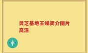 灵芝基地王娣简介图片高清