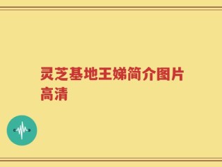 灵芝基地王娣简介图片高清