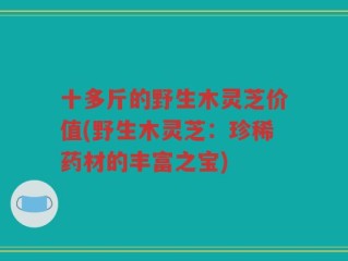十多斤的野生木灵芝价值(野生木灵芝：珍稀药材的丰富之宝)