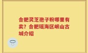 合肥灵芝孢子粉哪里有卖?合肥瑶海区岷山古城介绍