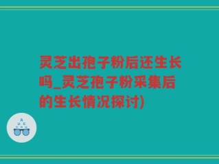 灵芝出孢子粉后还生长吗_灵芝孢子粉采集后的生长情况探讨)