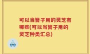 可以当簪子用的灵芝有哪些(可以当簪子用的灵芝种类汇总)