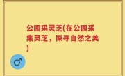 公园采灵芝(在公园采集灵芝，探寻自然之美)