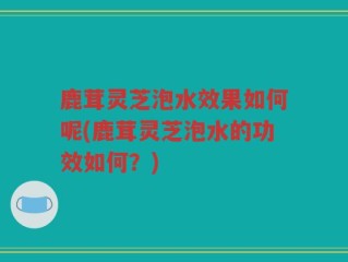 鹿茸灵芝泡水效果如何呢(鹿茸灵芝泡水的功效如何？)
