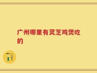 广州哪里有灵芝鸡煲吃的