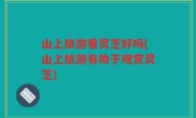 山上旅游看灵芝好吗(山上旅游有助于观赏灵芝)