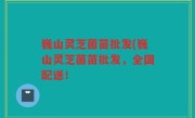 巍山灵芝菌苗批发(巍山灵芝菌苗批发，全国配送！