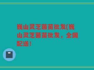 巍山灵芝菌苗批发(巍山灵芝菌苗批发，全国配送！