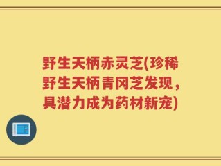 野生天柄赤灵芝(珍稀野生天柄青冈芝发现，具潜力成为药材新宠)