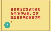 养肝草加灵芝的功效和作用(养肝必备：灵芝配合养肝草的重要功效)