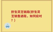 野生灵芝销路(野生灵芝销售遇阻，如何应对？)
