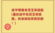 连平哪里有灵芝采摘园(重庆连平有灵芝采摘园，快来体验采摘乐趣！)