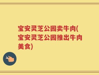 宝安灵芝公园卖牛肉(宝安灵芝公园推出牛肉美食)