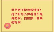 灵芝孢子粉显微特征？孢子粉怎么样看是不是真的啊，怕被掺一些其他粉啊