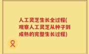 人工灵芝生长全过程(观察人工灵芝从种子到成熟的完整生长过程)