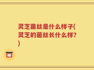灵芝菌丝是什么样子(灵芝的菌丝长什么样？)
