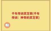 千年传说灵芝草(千年传说：神奇的灵芝草)