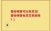 磐安哪里可以采灵芝(磐安哪里有灵芝采摘地？)