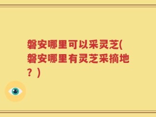 磐安哪里可以采灵芝(磐安哪里有灵芝采摘地？)