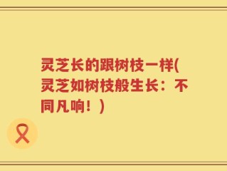 灵芝长的跟树枝一样(灵芝如树枝般生长：不同凡响！)