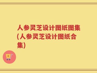 人参灵芝设计图纸图集(人参灵芝设计图纸合集)