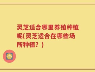 灵芝适合哪里养殖种植呢(灵芝适合在哪些场所种植？)