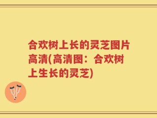 合欢树上长的灵芝图片高清(高清图：合欢树上生长的灵芝)