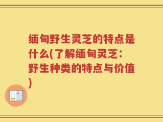 缅甸野生灵芝的特点是什么(了解缅甸灵芝：野生种类的特点与价值)