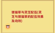 狸猫草与灵芝配伍(灵芝与狸猫草的配伍效果及功效)