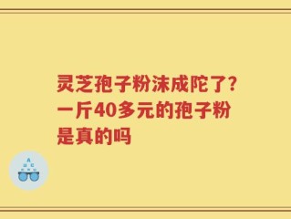 灵芝孢子粉沫成陀了？一斤40多元的孢子粉是真的吗