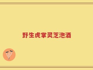 野生虎掌灵芝泡酒