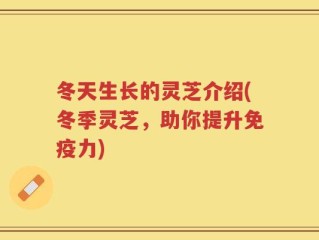 冬天生长的灵芝介绍(冬季灵芝，助你提升免疫力)