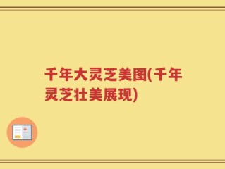 千年大灵芝美图(千年灵芝壮美展现)