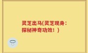 灵芝出马(灵芝现身：探秘神奇功效！)