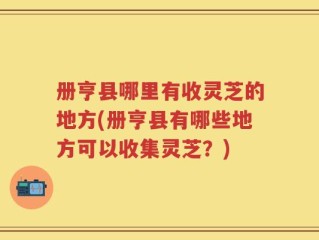 册亨县哪里有收灵芝的地方(册亨县有哪些地方可以收集灵芝？)