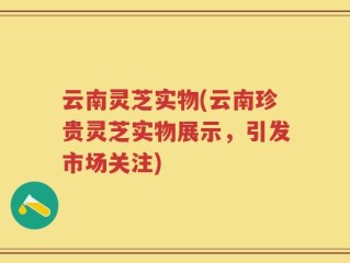 云南灵芝实物(云南珍贵灵芝实物展示，引发市场关注)