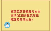 宣德灵芝花瓶图片大全高清(宣德青花灵芝花瓶图片高清大全)