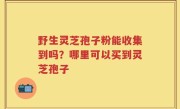 野生灵芝孢子粉能收集到吗？哪里可以买到灵芝孢子