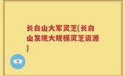 长白山大军灵芝(长白山发现大规模灵芝资源)