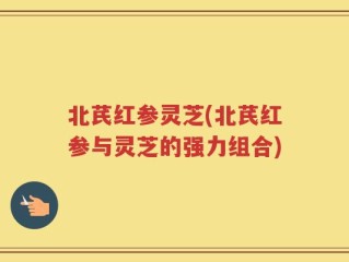 北芪红参灵芝(北芪红参与灵芝的强力组合)