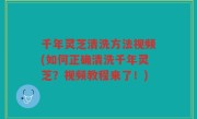 千年灵芝清洗方法视频(如何正确清洗千年灵芝？视频教程来了！)