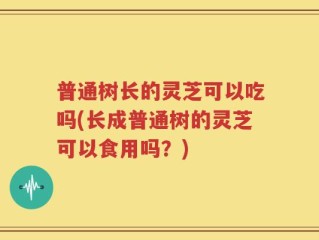 普通树长的灵芝可以吃吗(长成普通树的灵芝可以食用吗？)