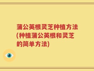 蒲公英根灵芝种植方法(种植蒲公英根和灵芝的简单方法)