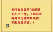 各种有毒灵芝(有毒灵芝不止一种，了解这些有毒灵芝种类及毒性，才能免遭伤害。)