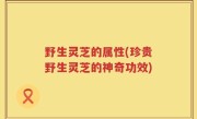 野生灵芝的属性(珍贵野生灵芝的神奇功效)